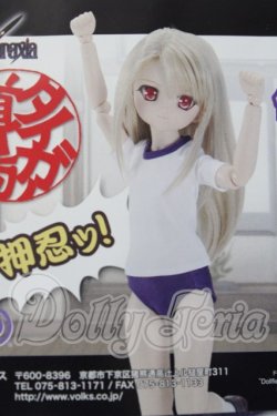 画像1: MDD/イリヤの体操服セット A-26-04-29-1021-TN-ZU