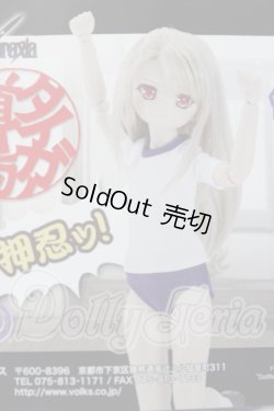 画像1: MDD/イリヤの体操服セット A-26-04-29-1021-TN-ZU