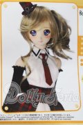 DD/ラスティチェックセット A-26-04-29-1013-TN-ZU