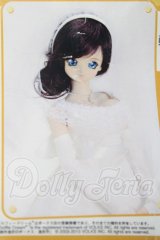 DD/幸福のブライダルドレスセット A-26-04-29-1003-TN-ZU