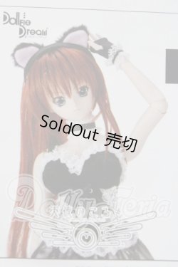 画像1: DD/ブラックラバーセット A-26-04-29-1028-TN-ZU