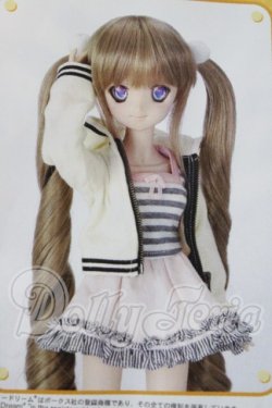 画像1: DD/日曜日の遊園地セット A-26-04-29-1027-TN-ZU