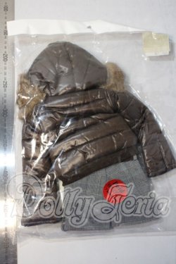 画像2: DD/レディブラウンダウンセット A-26-04-29-1001-TN-ZU