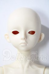 Gem of Doll/Ade ヘッド A-26-04-29-1100-TN-ZU