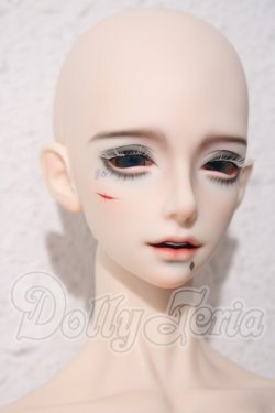 画像4: ringdoll/Cryan・SP Fullset  A-26-04-29-1102-TN-ZU