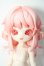 画像1: きのこ菌 ベニテングタケ A-26-05-06-1089-TN-ZU (1)