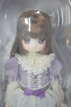 画像1: 1／6アイリスコレクトプチ Mira（みら）／Letters and Flowers （Purple Bellflower ver．） A-26-05-12-270-TN-ZA