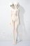 画像4: XAGA DOLL/帛曳&昔拉 A-26-05-06-1096-TN-ZU (4)