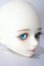画像2: MYOUDOLL/Zuzana A-26-05-06-1093-TN-ZU (2)