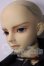 画像4: SD13男の子/教室Aヘッド U-26-05-06-208-TN-ZU (4)