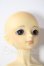 画像3: SDC/楓 U-26-06-03-214-TN-ZU (3)