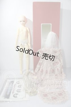画像5: SD女の子/サラ U-26-05-13-214-TN-ZU