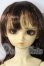 画像1: ＳＤ／スタンダード：めぐ U-26-05-13-216-TN-ZU (1)