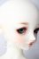 画像3: SD女の子/リーゼロッテ　the Best of the BESTs Ver.2019 U-26-05-20-216-TN-ZU (3)