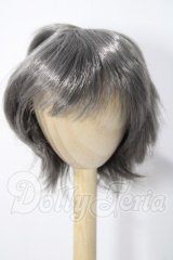 8-9inch/ウィッグ U-26-05-27-001-TN-ZU