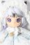 画像1: aiye/彩華錦シリーズ A-26-05-20-1012-TN-ZU (1)