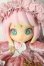 画像1: aiye/彩華錦シリーズ A-26-05-20-1013-TN-ZU (1)