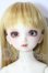 画像1: SDM/フルチョイス:F-33 U-26-05-27-215-TN-ZU (1)