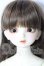 画像1: SDM/フルチョイス:F-33 U-26-05-27-214-TN-ZU (1)