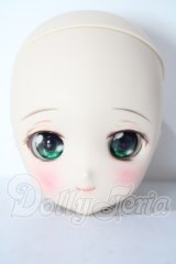 DDH-17/カスタムヘッド A-26-06-10-1085-TN-ZU