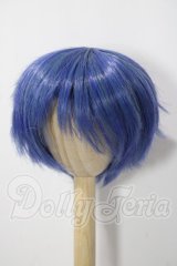 8-9inch/ウィッグ U-26-06-10-046-TN-ZU