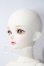 画像2: MYOU DOLL/Delia- 不思議の国のアリス ver. Limited A-26-06-03-1096-TN-ZU (2)