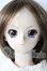画像1: DD/アオイ　1st A-26-06-03-1085-TN-ZU (1)