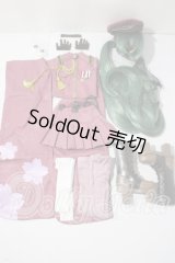 DD/OF:初音ミク千本桜ドレスセット(壱ノ桜・桜花) A-26-06-03-1062-TN-ZU