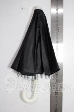 画像3: SDM/OF：傘 U-26-06-03-210-TN-ZU