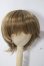 画像1: 8-9inch/ウィッグ U-26-06-03-026-TN-ZU (1)