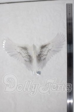 画像2: 1/6/paraiso doll/羽根 U-26-07-08-197-TN-ZU