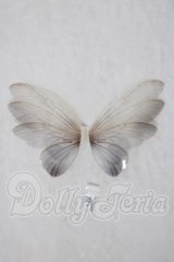 1/6/paraiso doll/羽根 U-26-07-08-198-TN-ZU