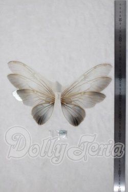画像2: 1/6/paraiso doll/羽根 U-26-07-08-198-TN-ZU