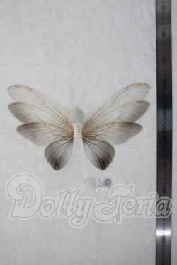 画像2: 1/6/paraiso doll/羽根 U-26-07-08-194-TN-ZU