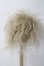 画像2: 8-9/inch モヘアウィッグ U-26-06-03-034-TN-ZU (2)