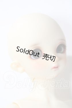 画像3: SDM/コーディネートモデル：F-60 U-26-06-17-212-TN-ZU