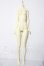 画像1: dollzone 1/3female body A-26-06-17-1086-TN-ZU (1)