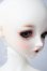 画像3: SDGIRL/リーゼロッテ Galerie de l'esprit 2021 秋冬Ver. U-26-06-24-216-TN-ZU (3)