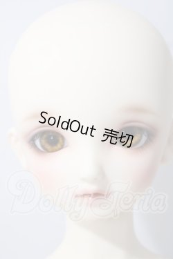画像2: SD/まい：スタンダードモデル U-26-06-24-220-TN-ZU