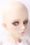 画像3: sprit doll gardenia A-26-06-17-1093-TN-ZU (3)