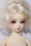 画像3: BAMBI　CRONY/BASIC　NIA A-26-07-01-1098-TN-ZU (3)