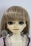 画像1: MSDgirl/里フルチョイスF-24 U-26-07-08-208-TN-ZU (1)