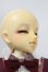 画像3: MSDGIRL/マーガレット U-26-07-08-209-TN-ZU (3)
