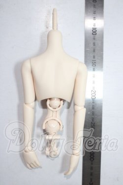 画像2: DD/DDP上半身+腕+ハンドパーツ+フレームセット A-26-07-08-1017-TN-ZU