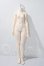 画像1: a sleep eidron/1/4 41cm Girl Body A-26-07-15-1094-TN-ZU (1)