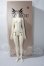 画像3: MYOUDOLL/1/4 Girl Body A-26-07-15-1093-TN-ZU (3)