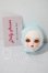 画像5: dolly house/polly A-26-07-15-1079-TN-ZU (5)
