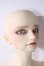 画像3: SD17男の子　マクシミリアン 星間学寮Ver. U-26-07-15-218-TN-ZU (3)