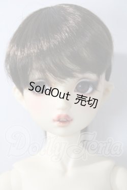 画像1: SDGr/ロリーナ　中原淳一・ぱたーん版〜ブラウス集 扉絵〜 U-26-07-15-220-TN-ZU