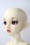 画像2: SDGr/ロリーナ　中原淳一・ぱたーん版〜ブラウス集 扉絵〜 U-26-07-15-220-TN-ZU (2)